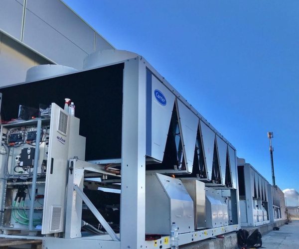 WhatsApp Image 2024-04-10 at 9.52.36 a. m.